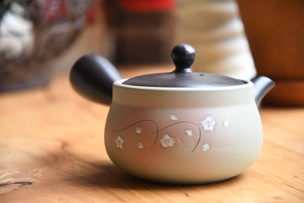 Japanese Green Tea Co. - Vendita all'ingrosso Teiere - Tokoname Yaki Kyusu teiera da 270 cc per tè Fukamushi10