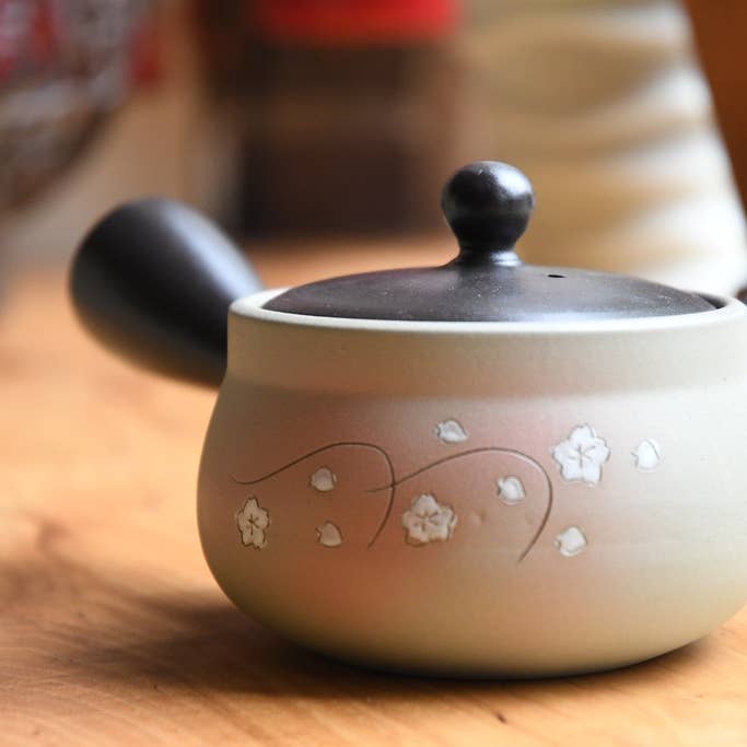 Japanese Green Tea Co. - Vendita all'ingrosso Teiere - Tokoname Yaki Kyusu teiera da 270 cc per tè Fukamushi10