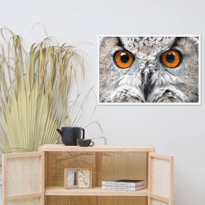 Pipa Wall Art & Home Decor - Wholesale Art Print - Close-up Yellow Owl Eyes Animal Wildlife Framed Wall Art19