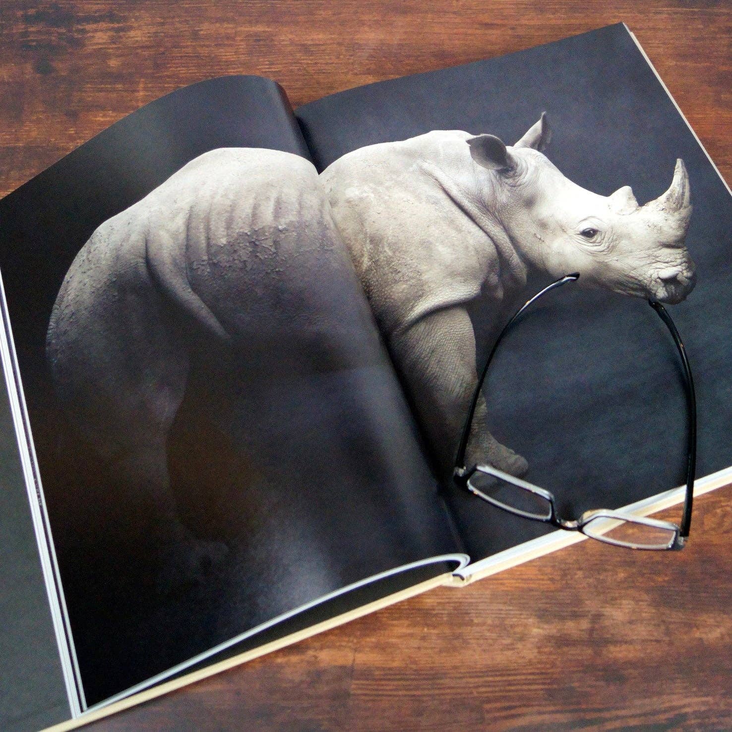 gestalten & teNeues - Wholesale Arts & Entertainment Book - Between Us7