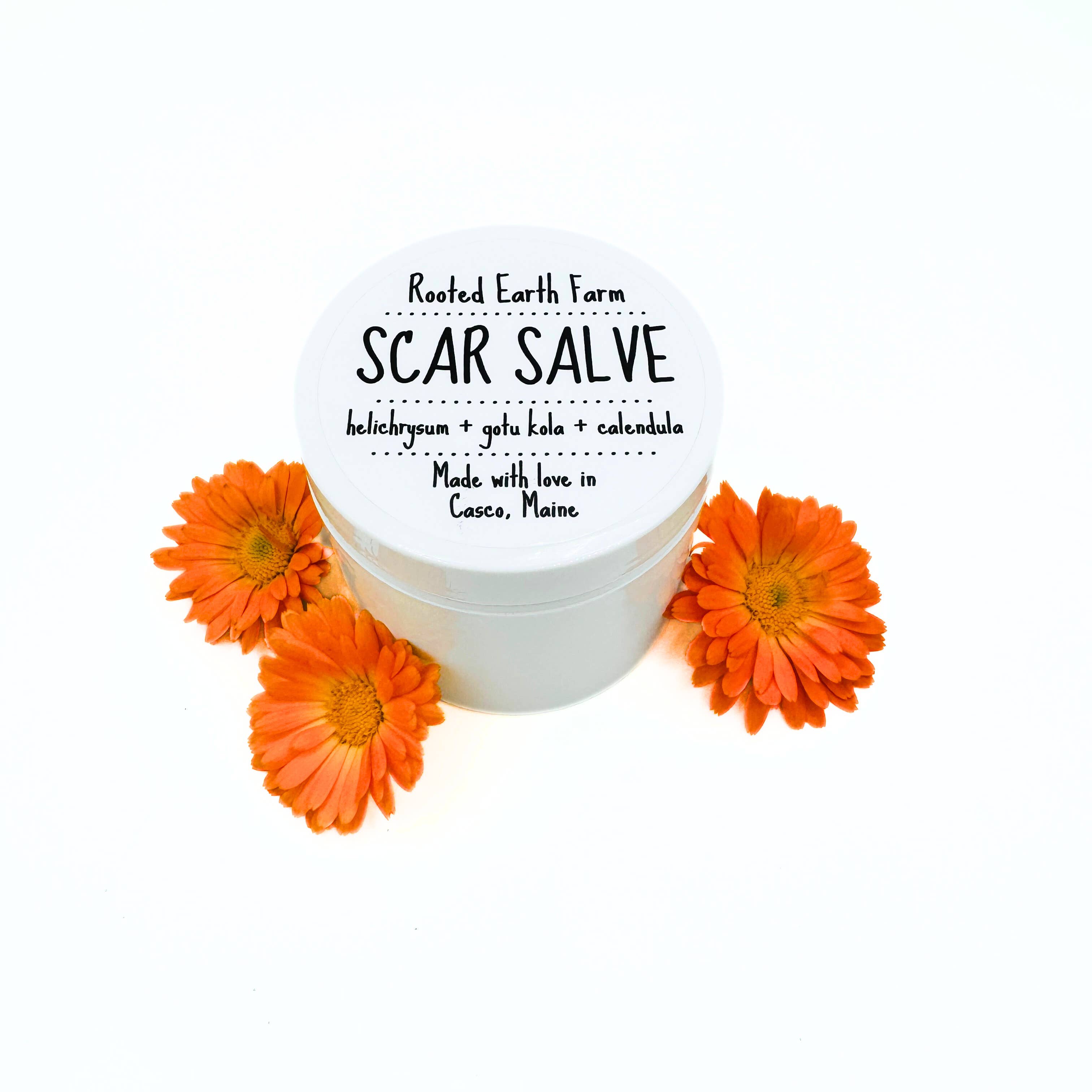 Rooted Earth Farm + Apothecary - Wholesale Healing Salve/Balm/Cream - Scar Salve - 3 Size Options4