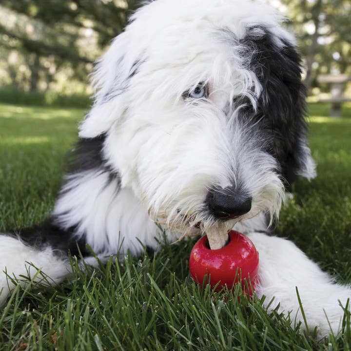 Pet Palette Distribution - Wholesale Pet Treats - Dog - KONG® Ziggies Small