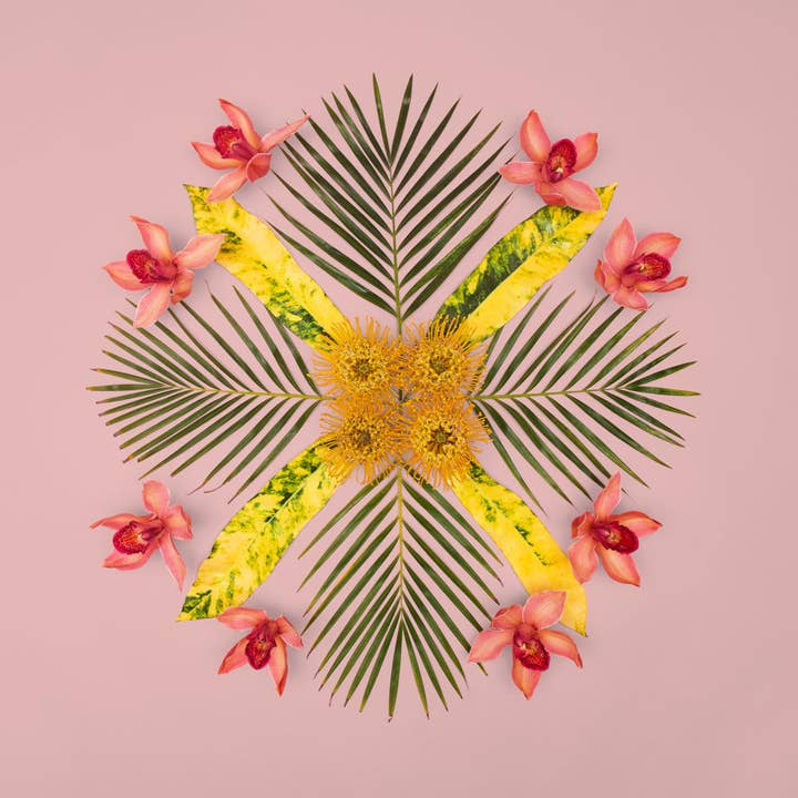 The Pink Palace for wholesale by Lola Pilar Hawaii