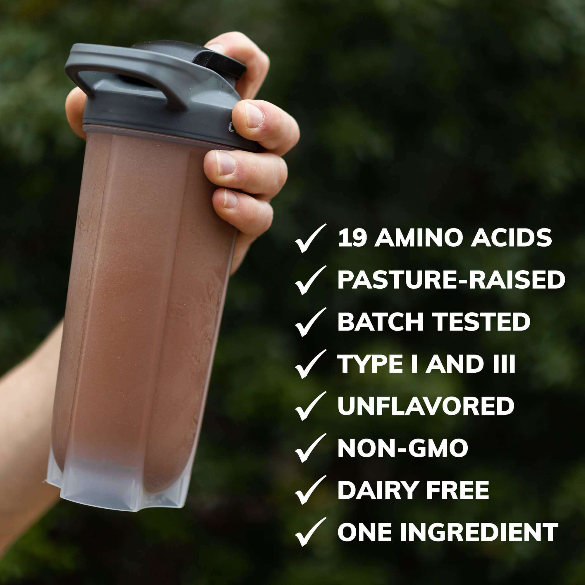 Wild Foods – Großhandel Protein-/Superfood-Pulver – Großhandel—CocoTropic Superfood-Mix—100% Bio3