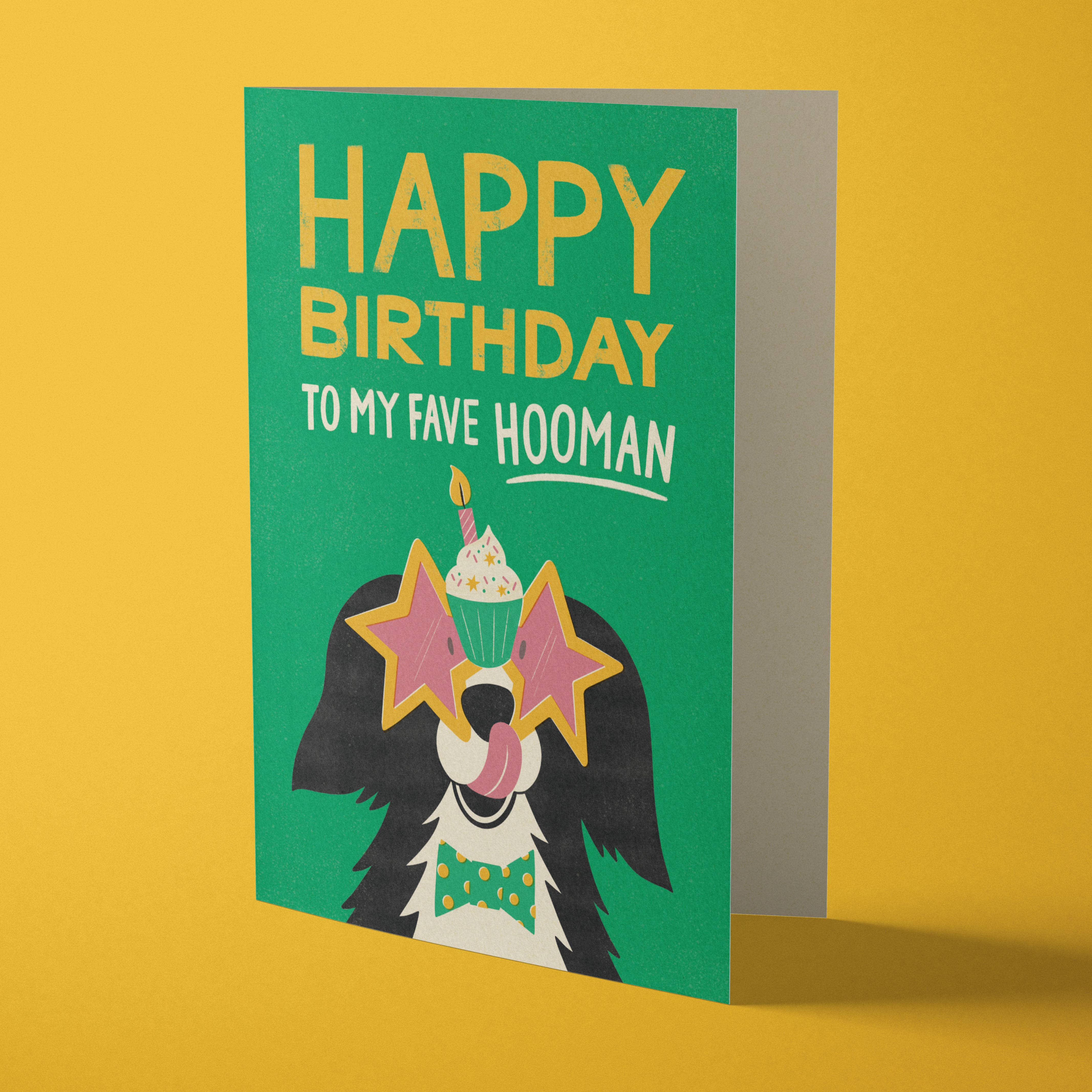 Bird & Co Studio - Wholesale Birthday Card - Birthday Dog | Funny Party Collie Greeting Card1