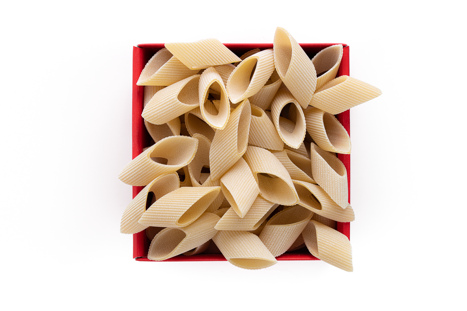 Pastificio dei Campi - Wholesale Pasta - Gragnano Pasta PGI - Oriental Calamarata, 500g 100% Made1