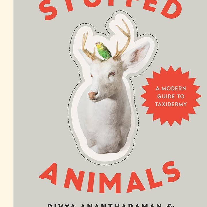 Stuffed Animals: A Modern Guide to Taxidermy for wholesale by Microcosm Publishing & Distribution