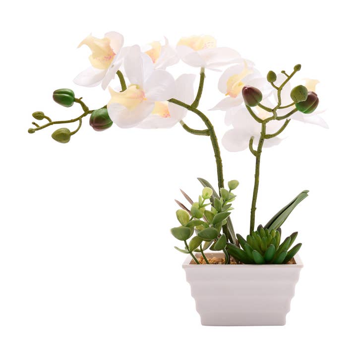 **MULTI 2** Orquídea Artificial em Vaso Branco Pequena por atacado de WIDDOP and Co.