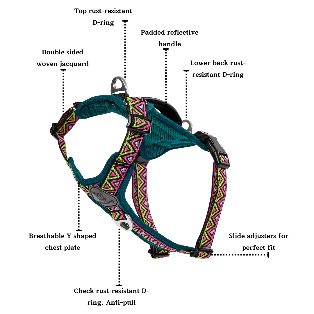 NEERDOG | Dog Harnesses | Dog Leads | Dog Collars | Coats – wholesale Pet harness – Dog – GO-B-BOLD Dog Harness | Breathable | Adjustable | Green10