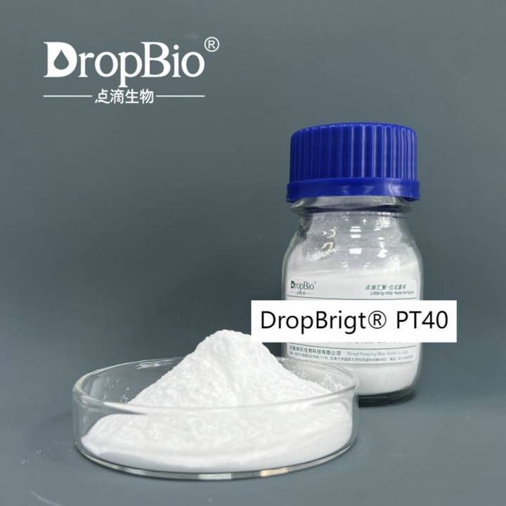 DropBrigt® PT40 Extrait de Racine de Glycyrrhiza Glabra (Réglisse) en Poudre pour la vente par XCLUSIV ORGANICS