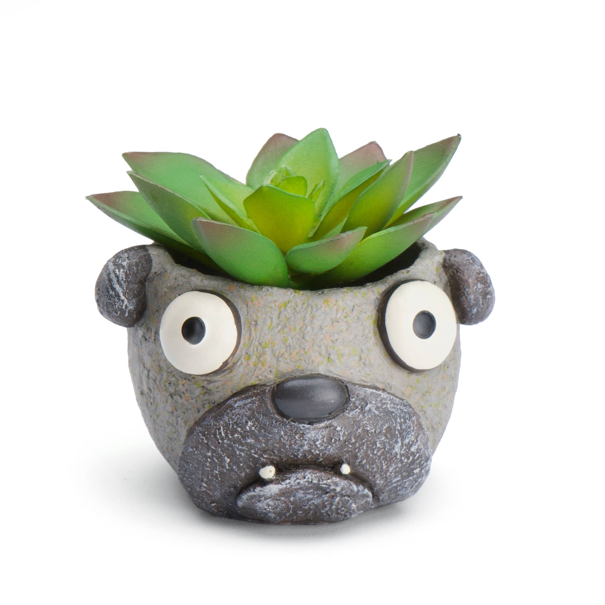 Cohasset Gifts - Wholesale Plant Pot - Baby Elliot Mini Pug Blobhouse Planter0