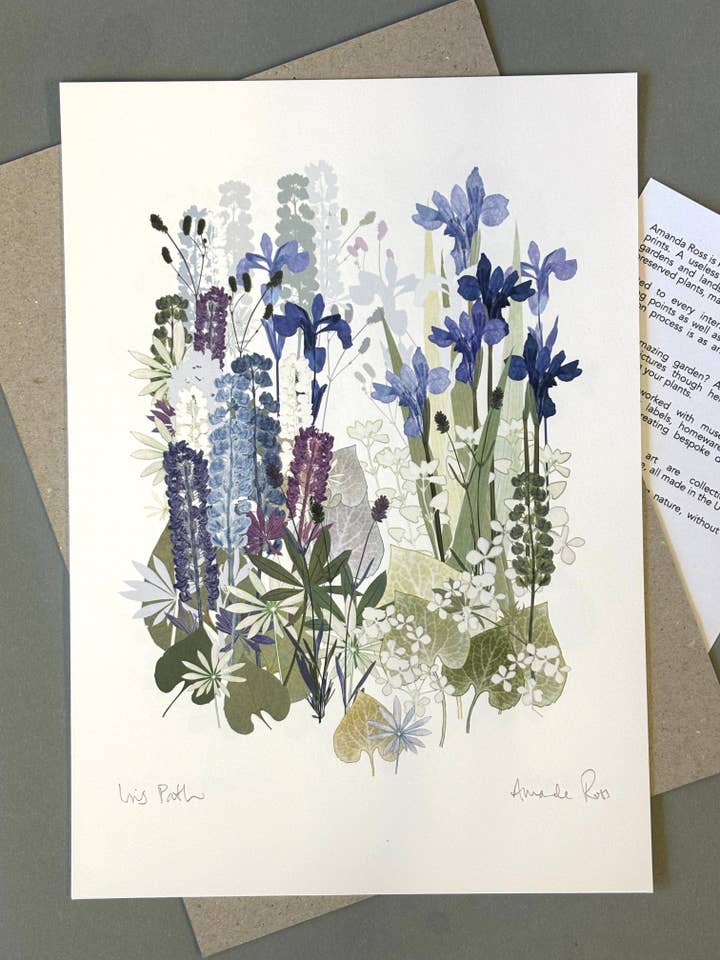 Iris Path paper Print US Size for wholesale by Amanda Ross