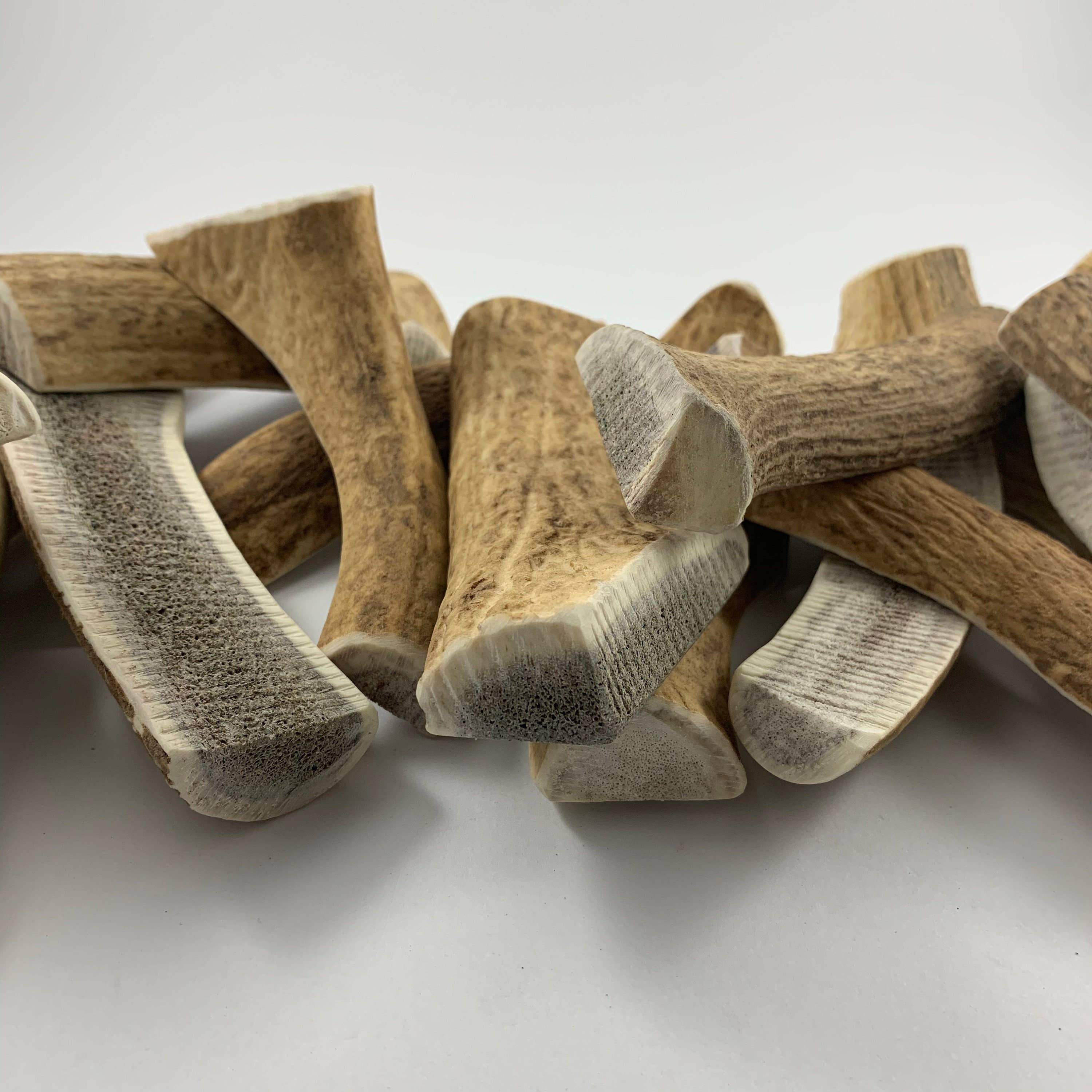 Pawsome Pet Toys - Wholesale Pet Chew Toy - Dog - M size Natural deer antler3