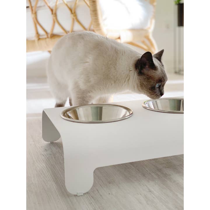 Labbvenn - Wholesale Pet Bowl - Cat/Dog - Rico Ffeder10