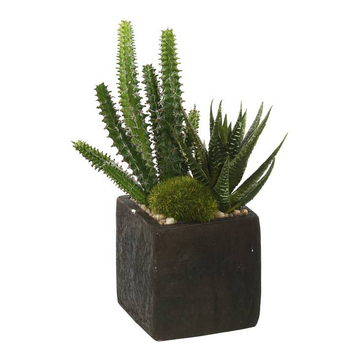 Vickerman 8" Succulent Arrangement 2 Pack for wholesale by Vickerman