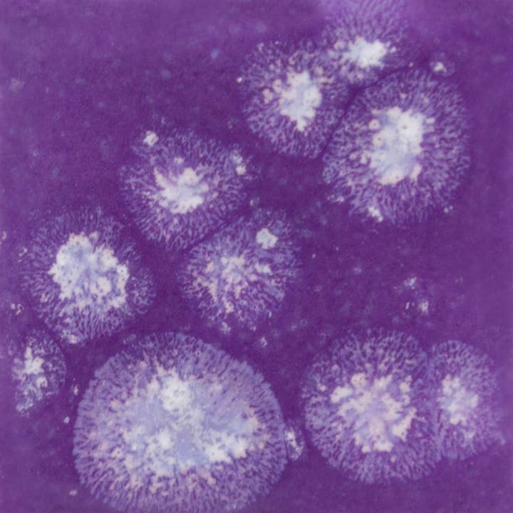 Handpicked Ceramics - Wholesale Decorative Tabletop Object - Mini Ceramic Mushrooms1