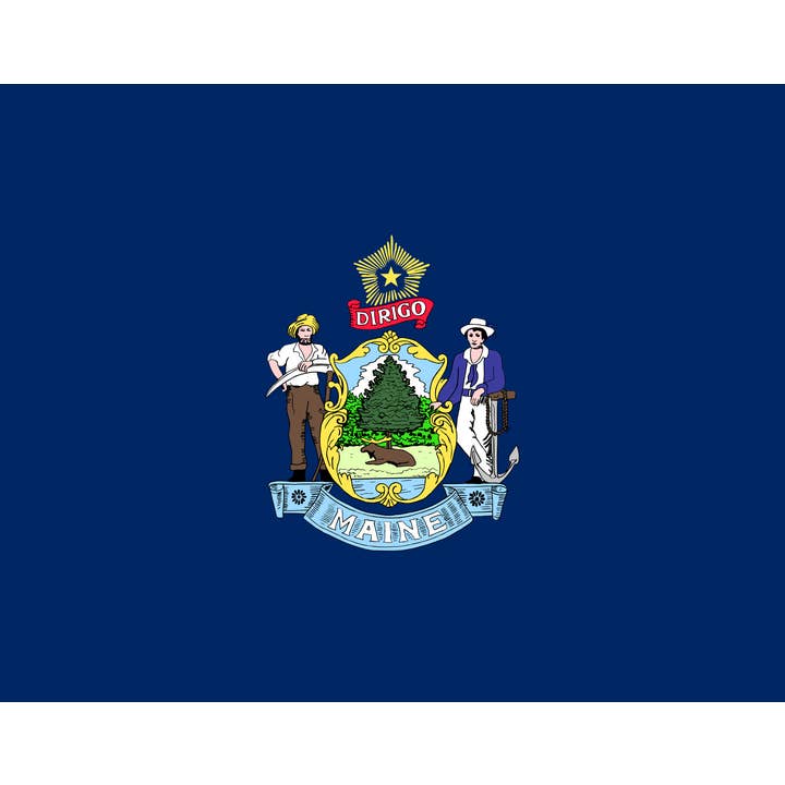 House of Swank Clothing - Wholesale Sticker - State Flag Sticker - All 50 States Available8