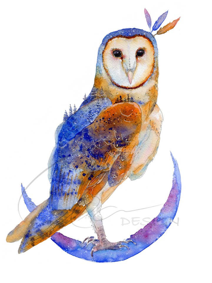 Akvarellkonsttryck - Mysterium - Fågel Tornuggla Måne för wholesale av Oladesign