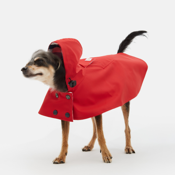 ARISTOPET - Wholesale Pet Raincoat - Dog - WILLIAM WATERPROOF JACKET3