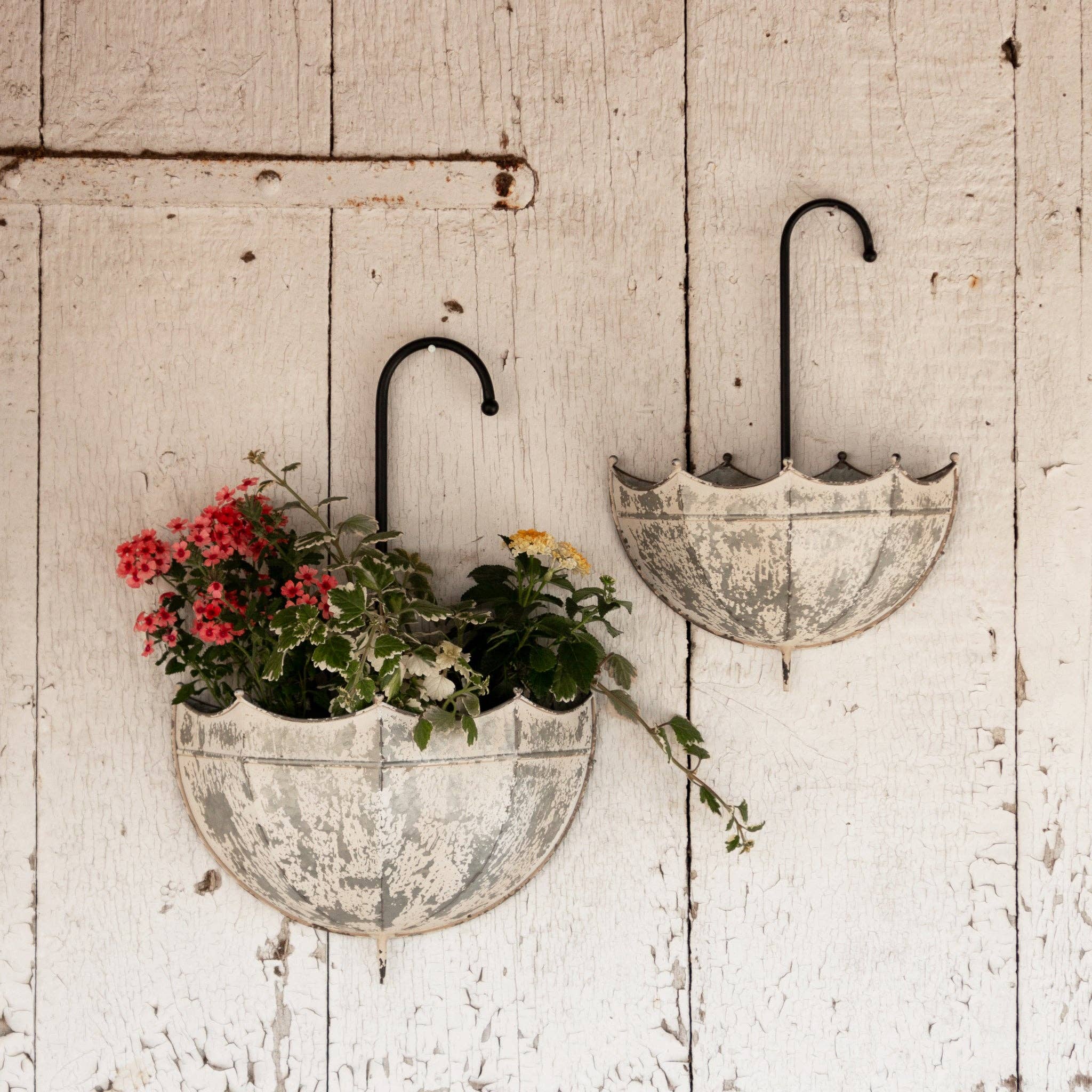 Audrey's Home & Gift - Wholesale Wall Planter - Galvanized Umbrella Wall Planter (Set Of 02)3
