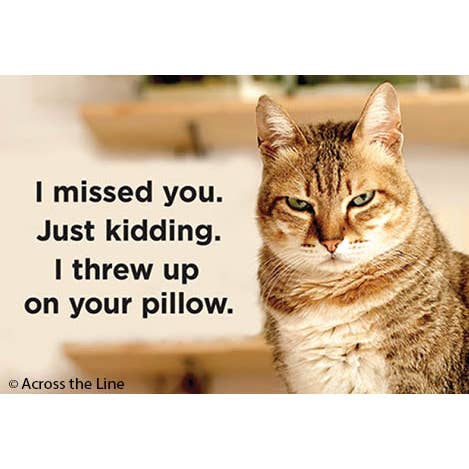 Ephemera - Wholesale Magnet - Magnet-I missed you. Just kidding. I threw up on your pillow