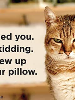 Magnet-I missed you. Just kidding. I threw up on your pillow for wholesale by Ephemera