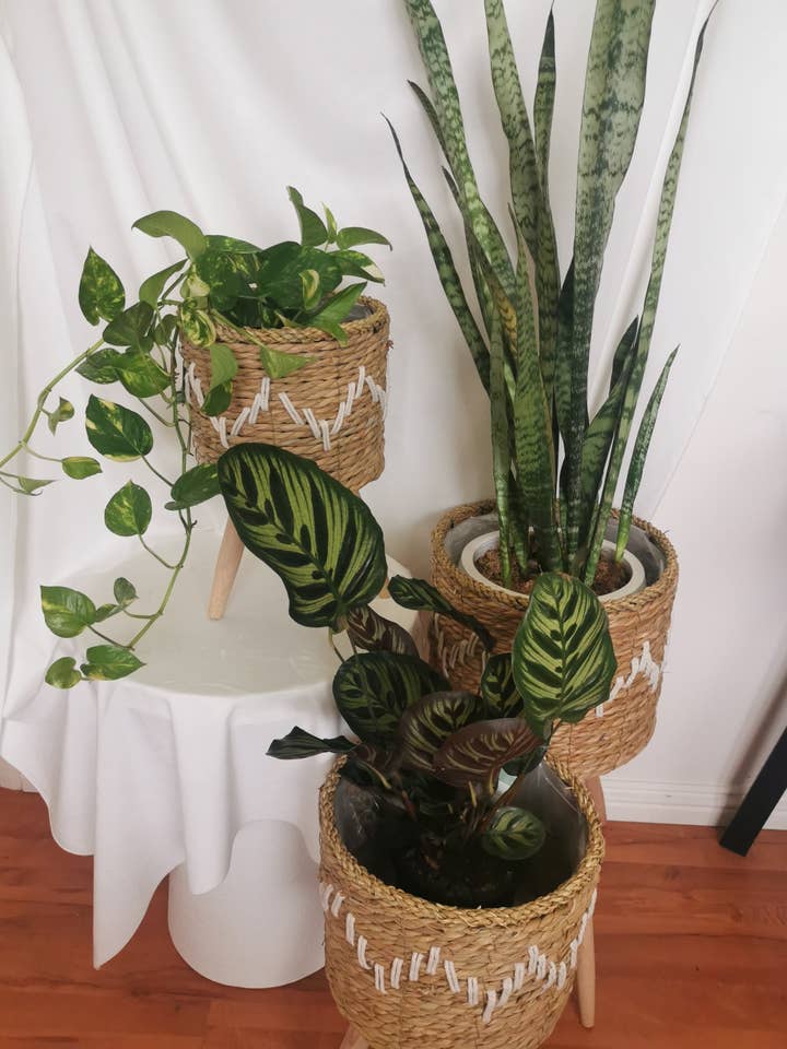 Natural Fibre Footed Planters for wholesale by Casa Style