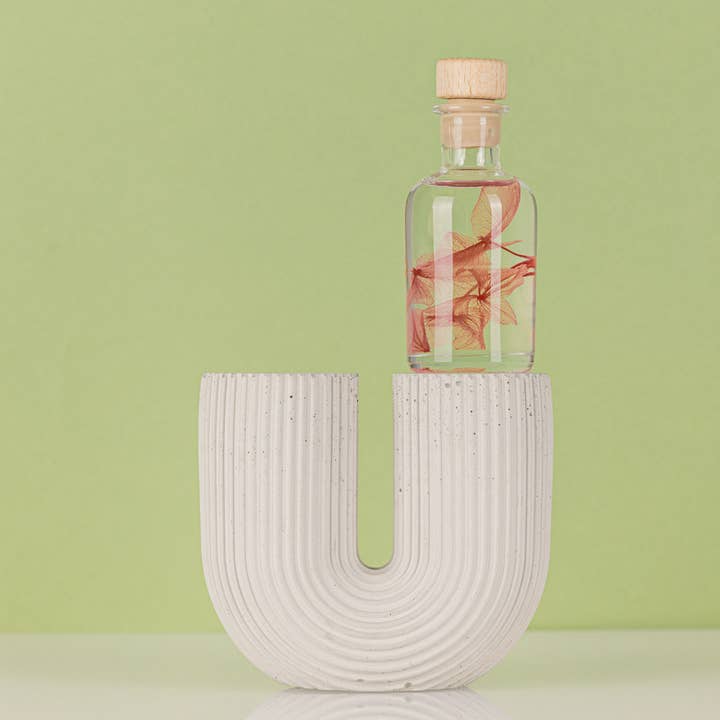 Theophile Berthon - Wholesale Live Plant - L'Herbarium Hortensia rose - Submerged flower