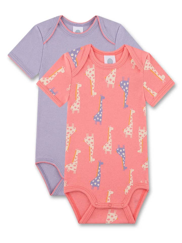 DP-Körper 1/2 324619+324620 für den Großhandel von Sanetta