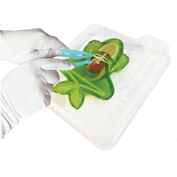 Cra-Z-Art - Wholesale Toy Set - Kids - Dissect-It Frog Lab2
