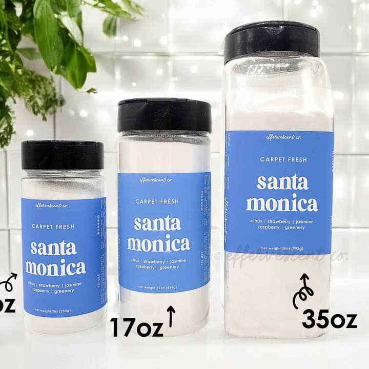 Effervescent Co. - Wholesale Air Freshener - Euphoria | Carpet Fresh1