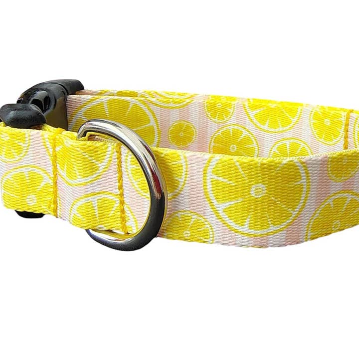 Pink Lemonade Dog Collar for wholesale by Shelby's Squad