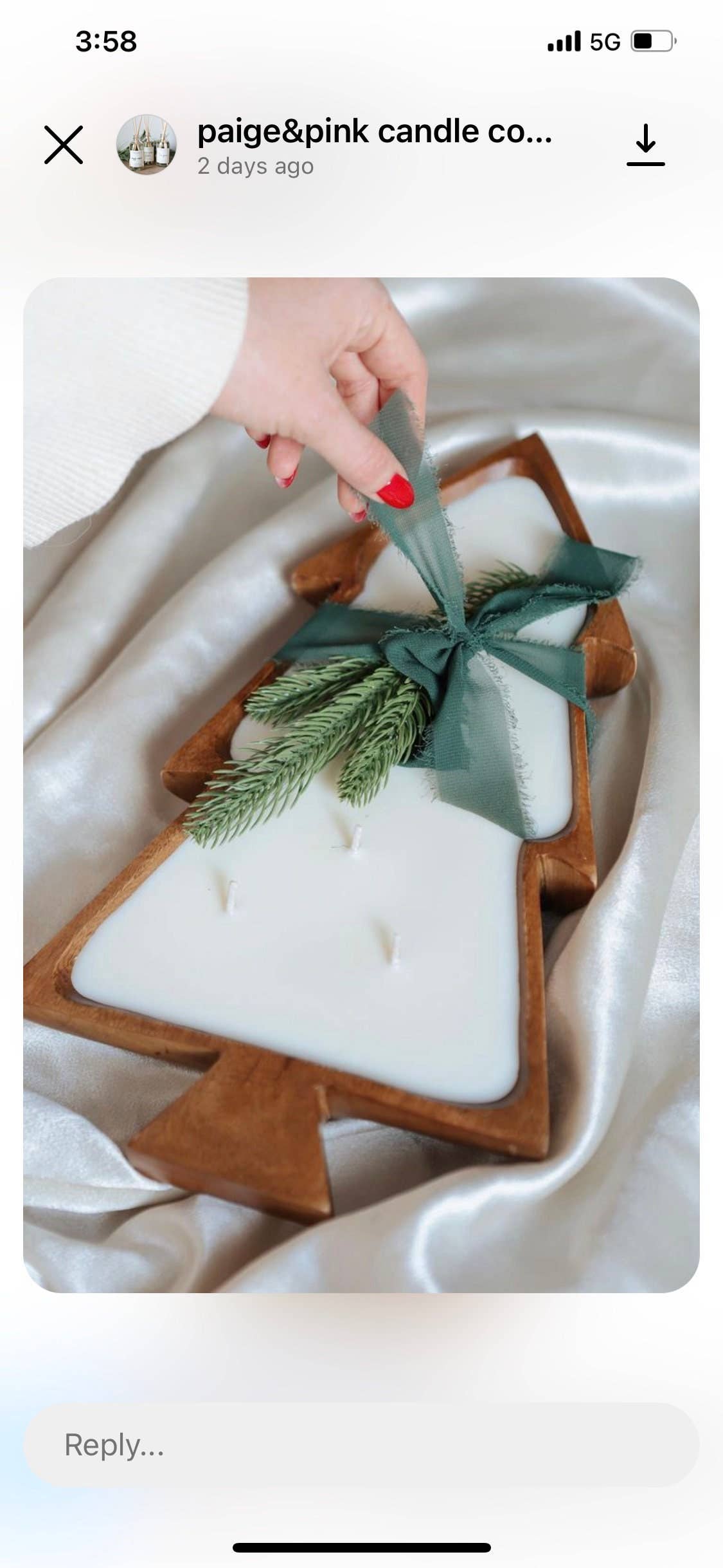 Woodware&Co – Prato/tigela decorativa por atacado – Taça de madeira de Acácia Árvore de Natal4