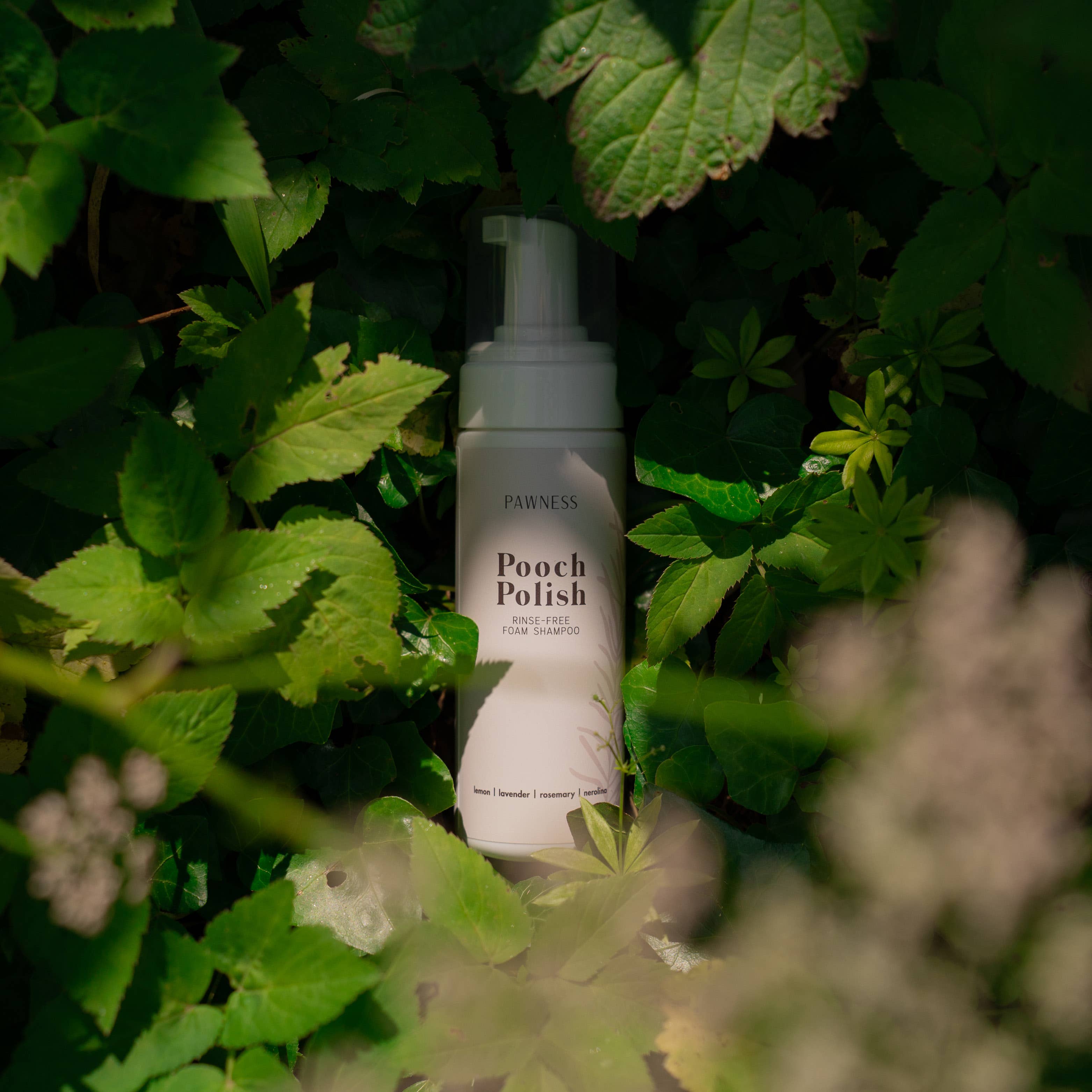 Pawness – Engroshandel Shampoo - Hund – Pooch Polish skumshampoo uden skylning3