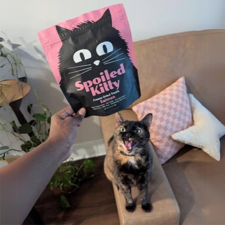 Spoiled Pets - Wholesale Pet Treats - Dog - Salmon Filet Bites2