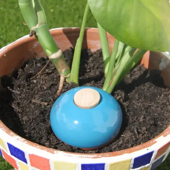 Poterie lutton - Vente Arrosoirs - Ollas Galet 15 cl – Arrosage autonome et stylé1