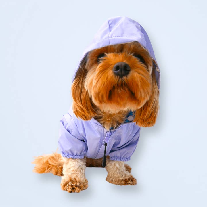 Zelda & Harley – wholesale Pet raincoat – Dog – Puparazzi Reversible Raincoat4