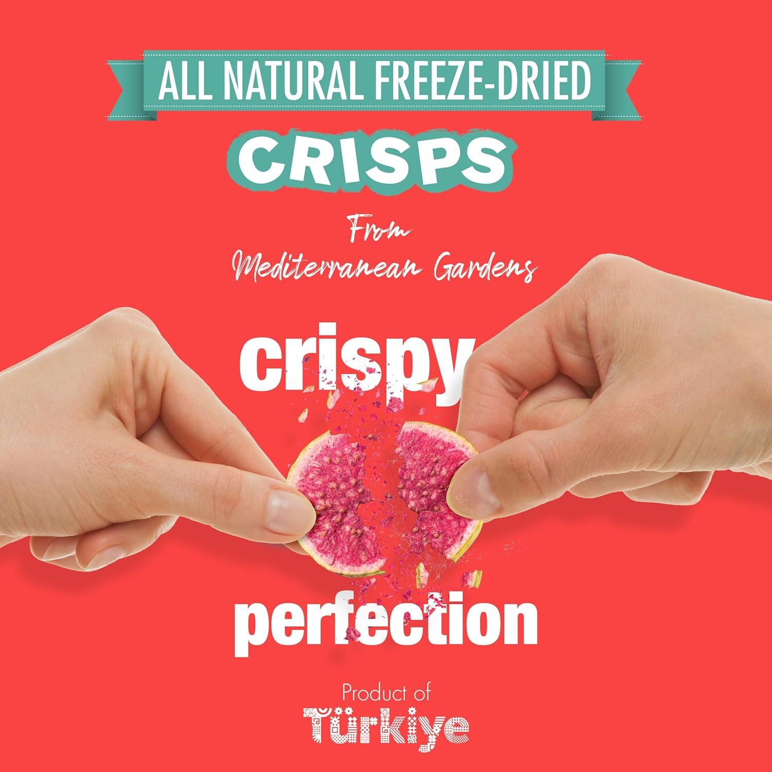 MAG - Wholesale Dried/Dehydrated Fruit - MAG Freeze Dried Fruit Snacks Frozen Fuji Apples Slices Fres4