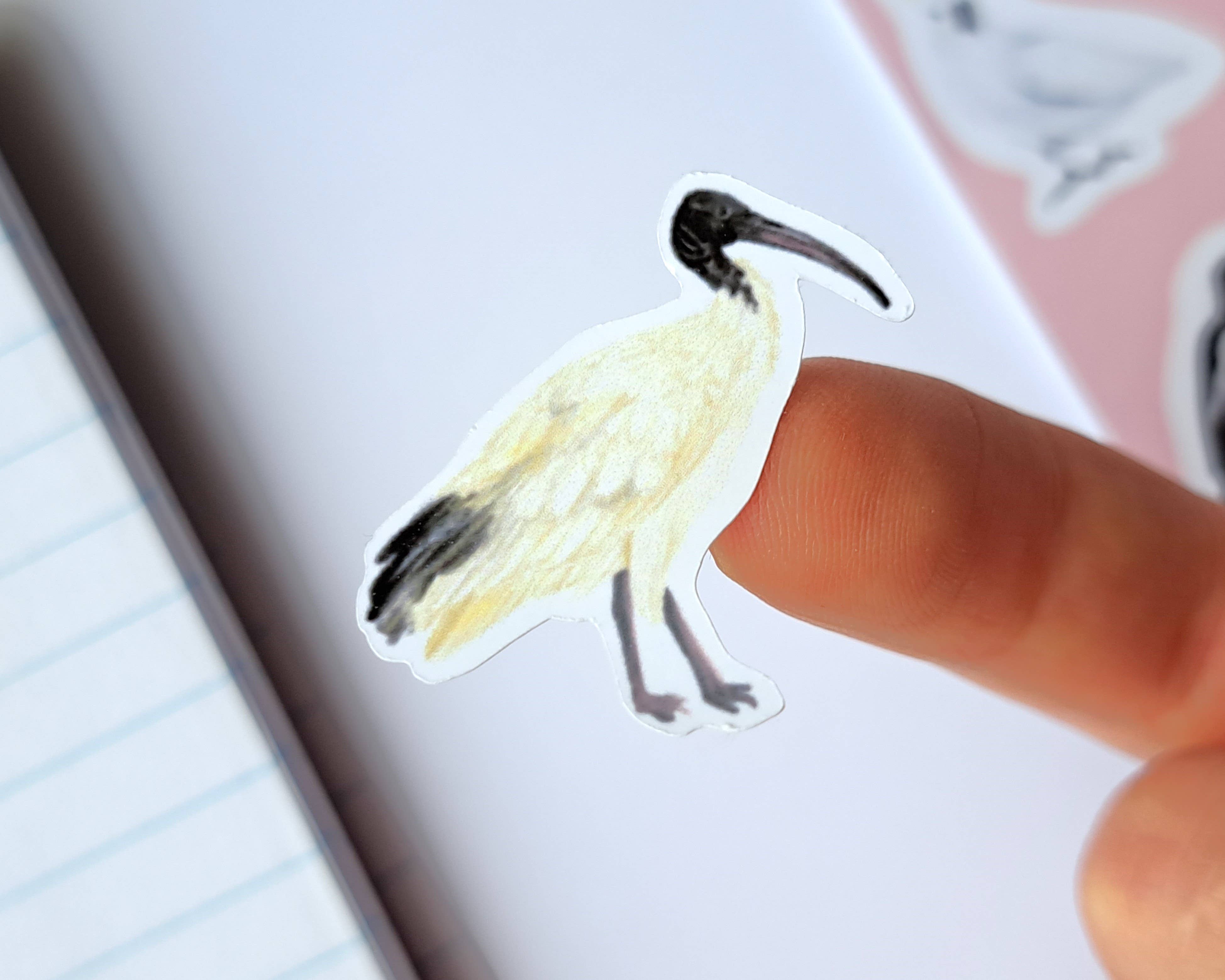 Kayla Reay Design - Venta al por mayor Pegatina - Hoja de pegatinas de vinilo de aves australianas comunes del jardín3