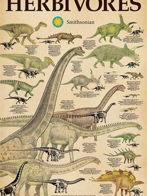 Smithsonian - Herbivores Poster 24" x 36" for wholesale by Scorpio Posters