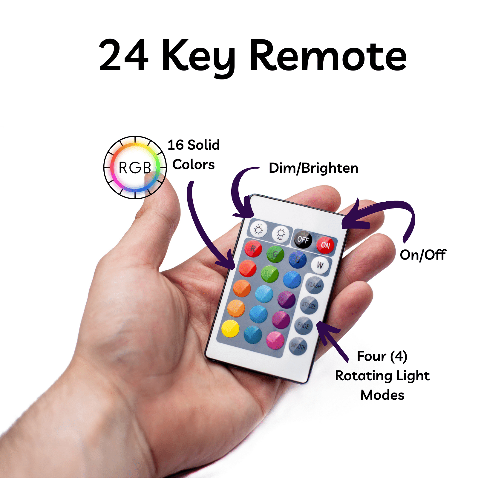 The 308 Collective - Wholesale Accent/Desk Lamp - Dolphin LED Lamp | Marine Life Swimming Dolphins Light11