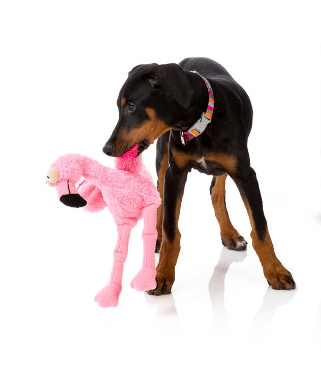 Pet Palette Distribution - Wholesale Pet Plush Toy - Dog - FuzzYard Dog Toy Neighborhood Nasties Flo the Flamingo Large