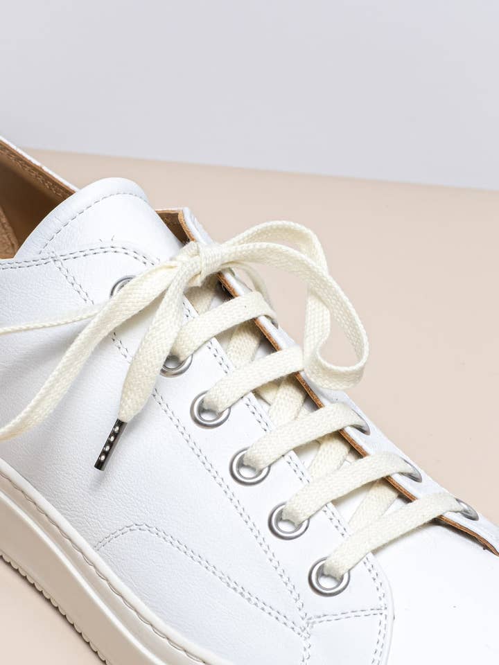 White | Sneaker laces for wholesale by Senkels