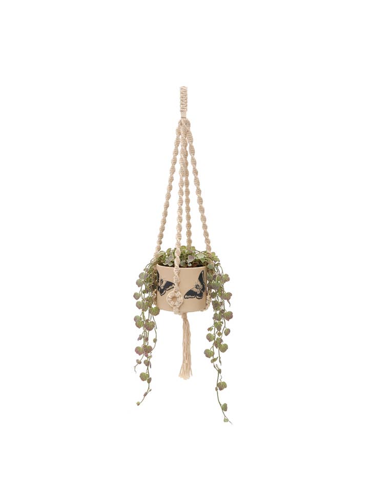 Cintre pour plantes avec anneaux en bois - Couleur naturelle pour la vente par Soul of the Party