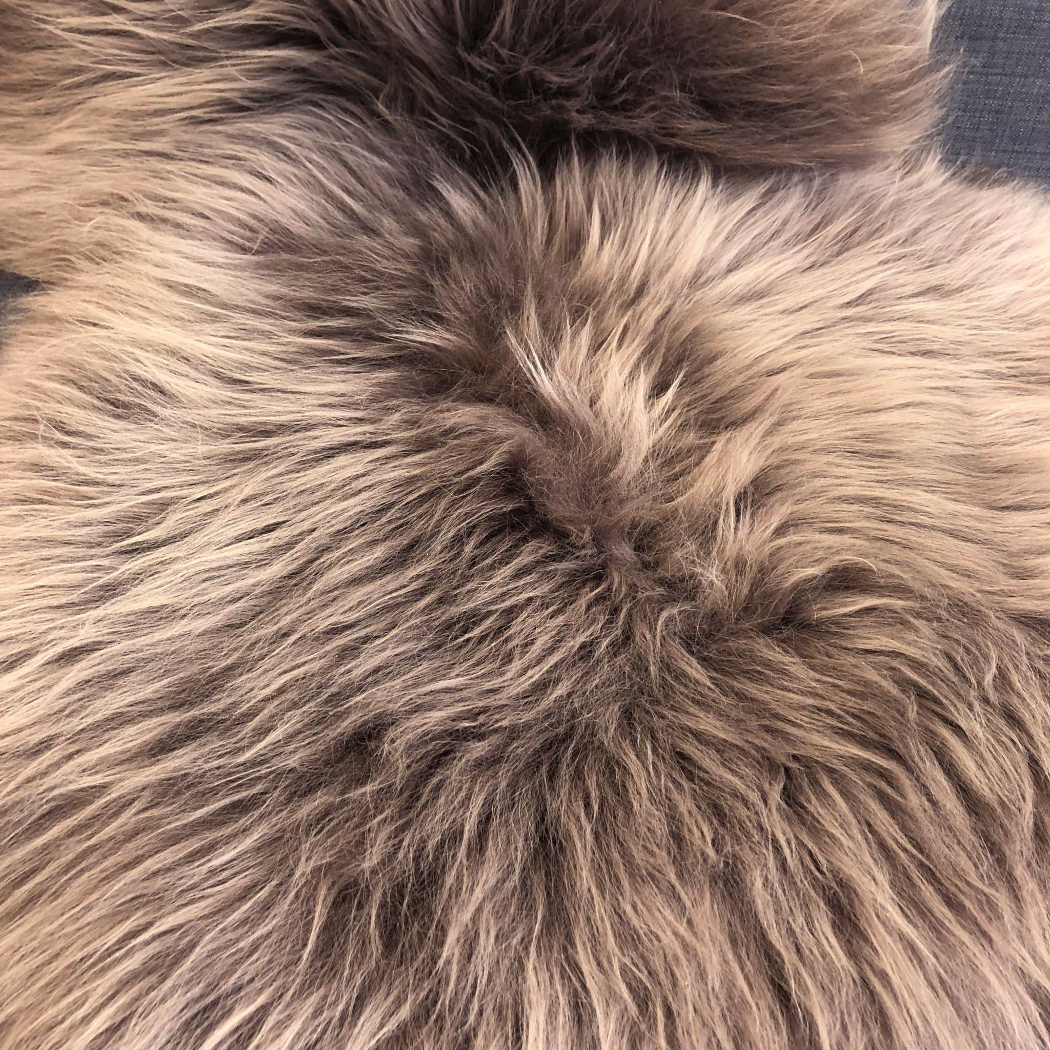 Wildash London - Wholesale Area Rug - Icelandic Sheepskin Rug Taupe Long Fur | Fleece | Medium2