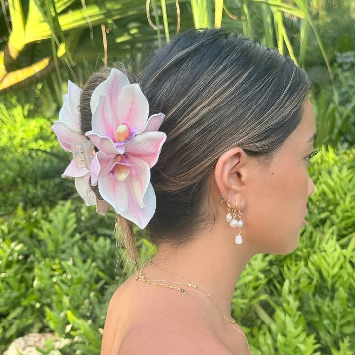 Lys rose/blanc pour la vente par Phases Hawaii