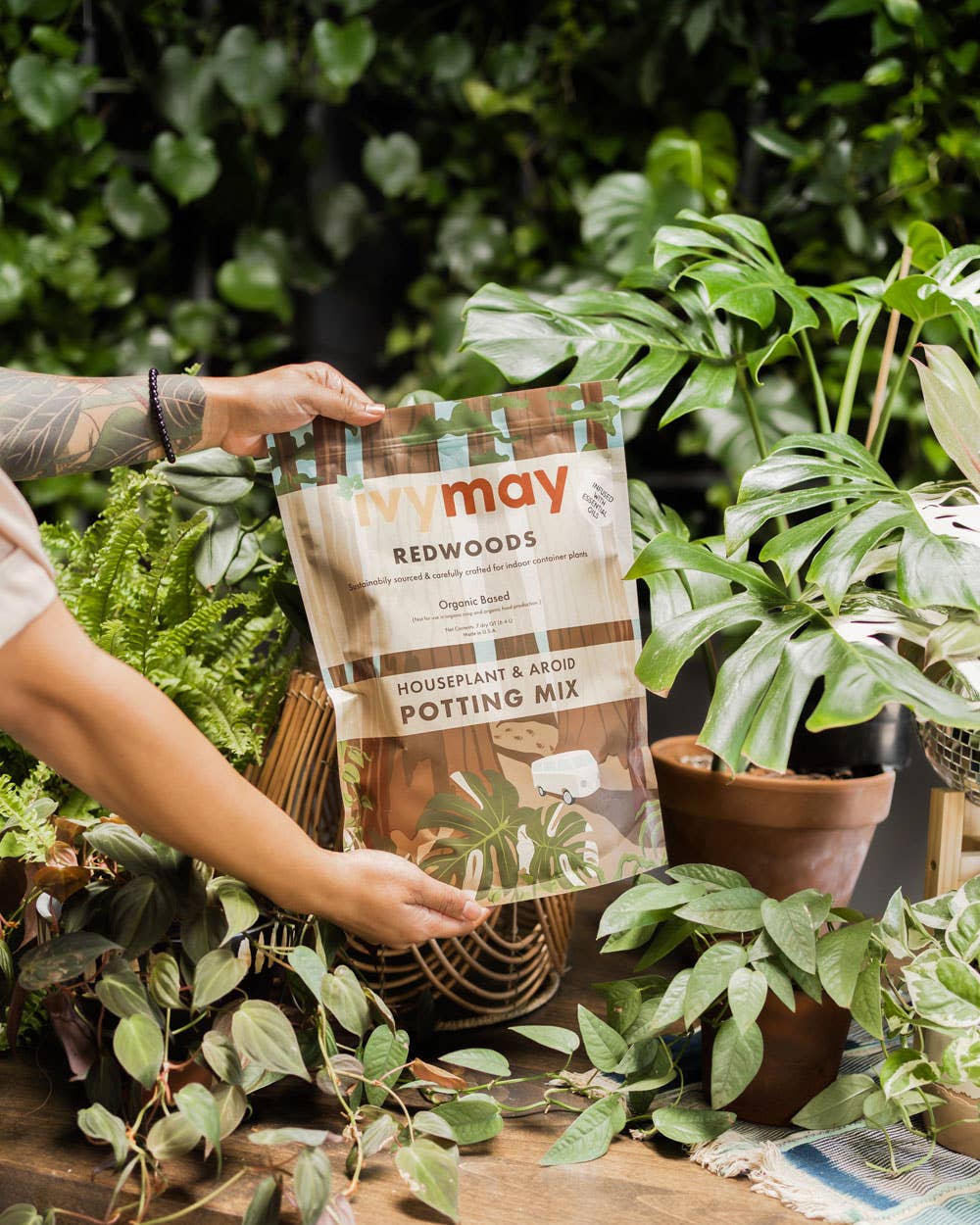 Ivy May Co – Großhandel Pflanz-/Blumenerde – Premium Zimmerpflanzen- und Aroid-Erde-Mischung (4 QT)4