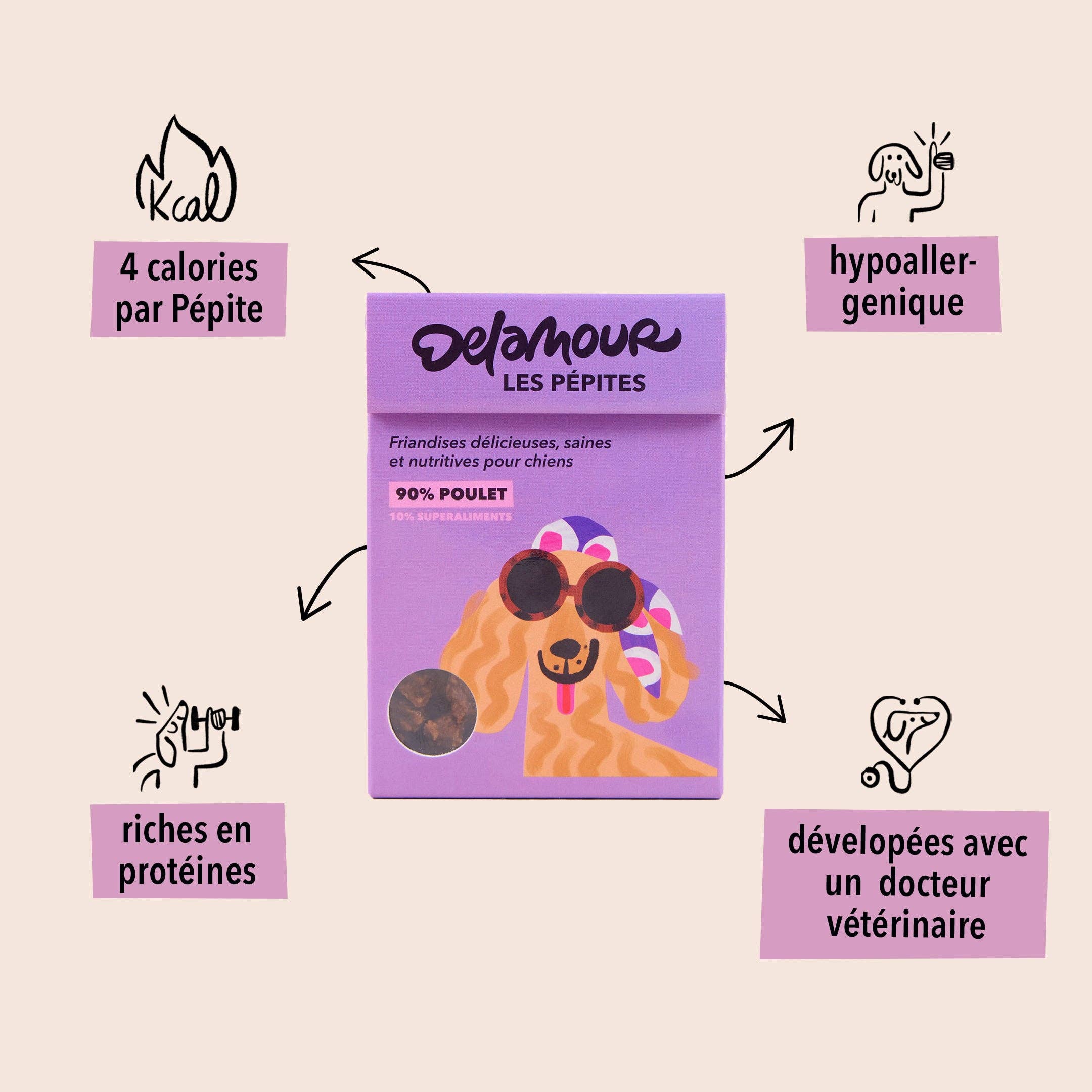 Delamour - Wholesale Pet Treats - Dog - Les Pépites - Air-dried chicken snacks (75g)1