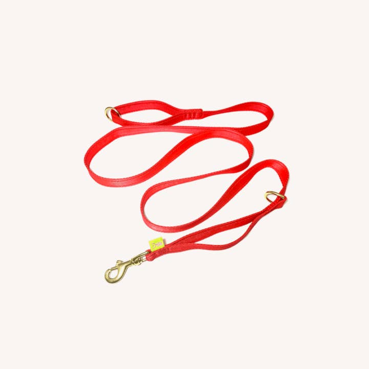 Laisse simple pour la vente par Dogtools