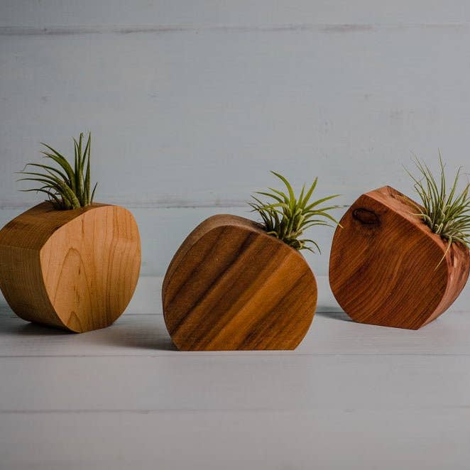 Little Air Plant Holder for wholesale by PRW Made